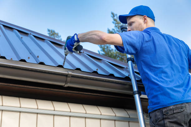 Best Solar Panel Roofing Installation  in Mesquite, TX