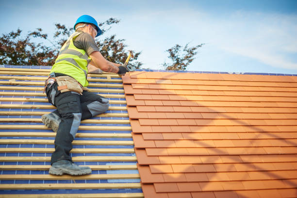 Best Roof Maintenance and Cleaning  in Mesquite, TX